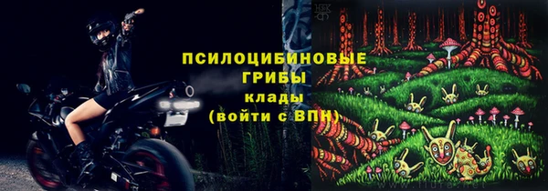 спиды Алексин