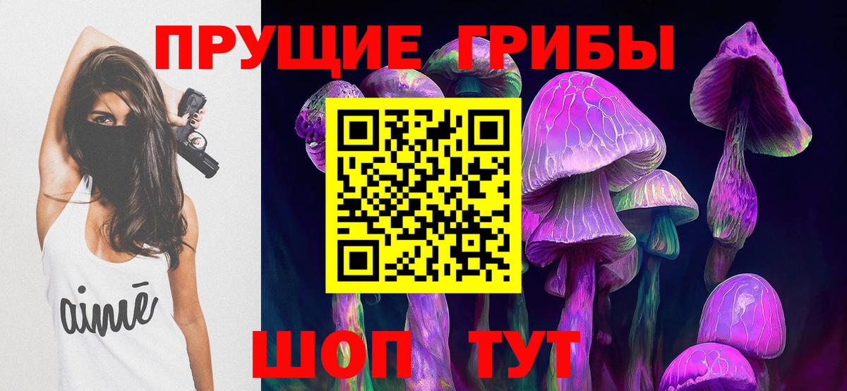 Псилоцибиновые грибы Cubensis Димитровград