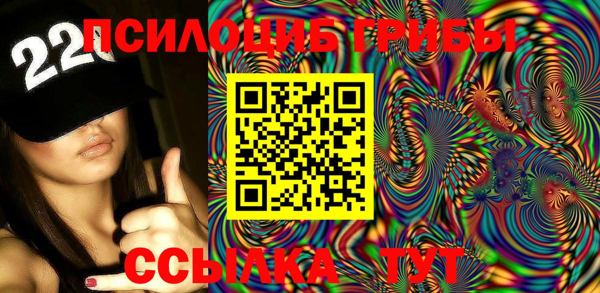 Галлюциногенные грибы Psilocybine cubensis  Вход с VPN  как найти   Димитровград 